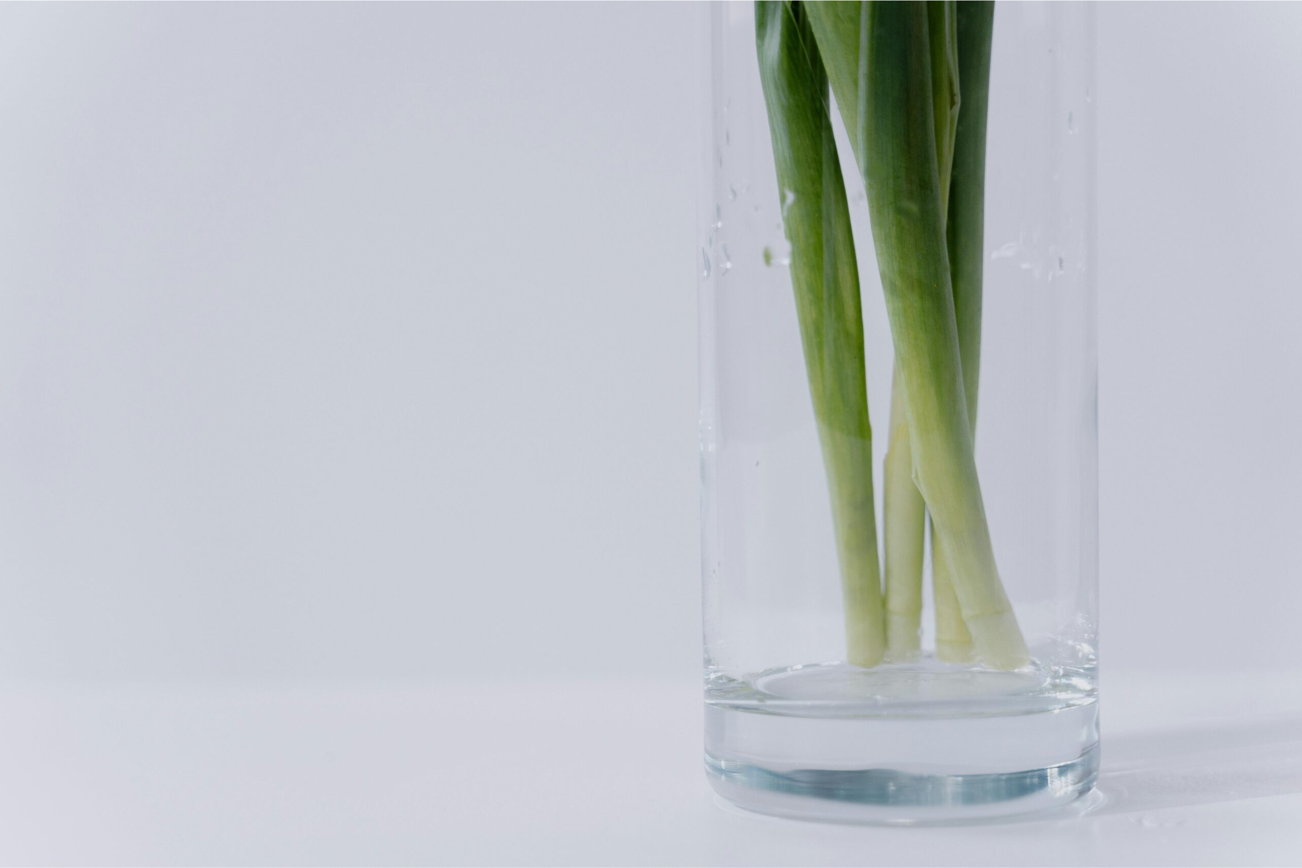 Quels légumes peuvent repousser à l’infini dans l’eau?